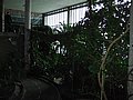 IMG_4178.JPG