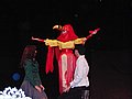 IMG_4405.JPG